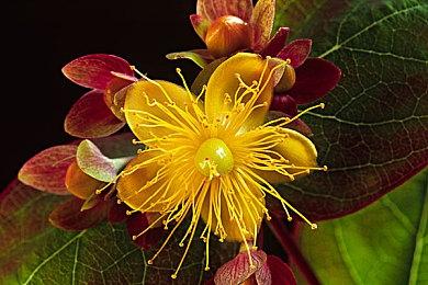 PSVR2设计师现身亲自拆解PSVR2头显