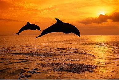 《刺客信条：影》无障碍功能升级 详细功能列表公布